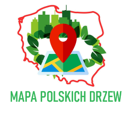 mapa polskich drzew