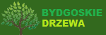 Bydgoszcz Drzewa