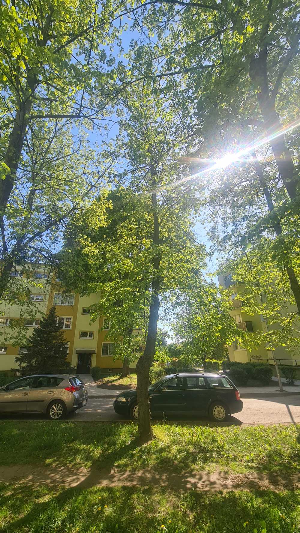 Lipa