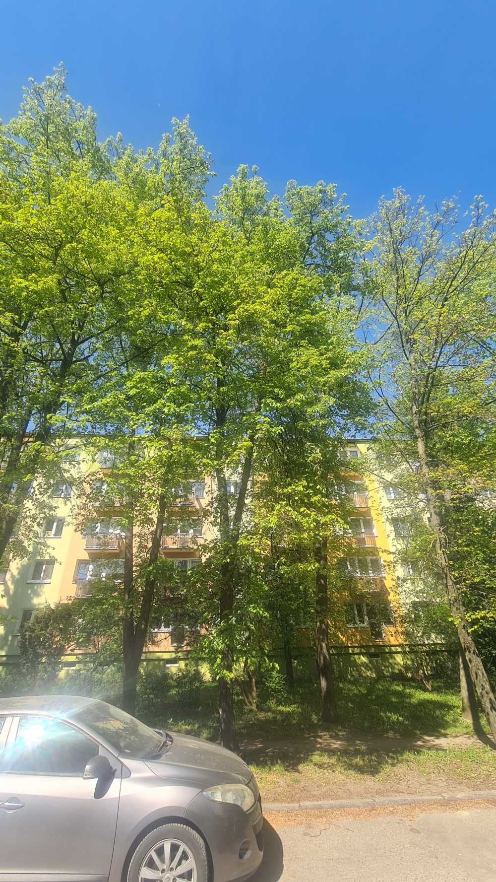 Lipa
